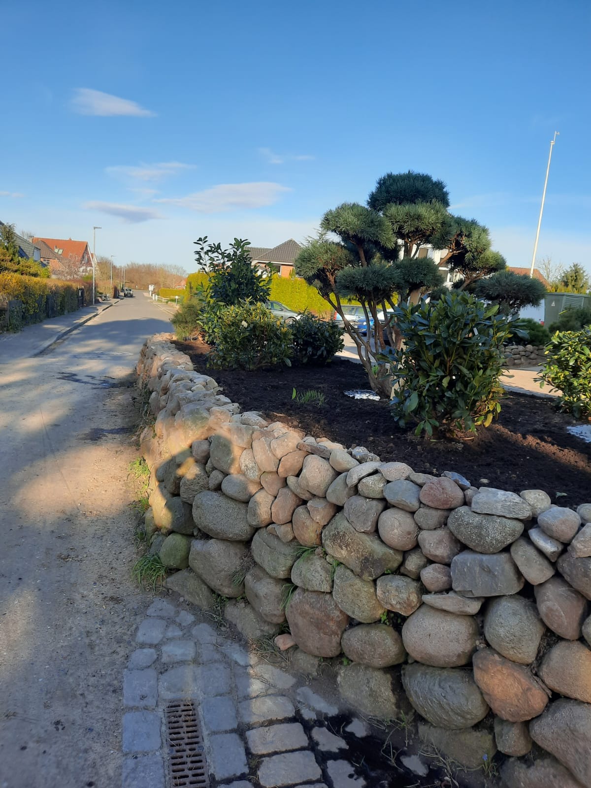 Kamienny murek oporowy z nasadzeniami: drzewko bonsai, krzewy. Tło: ulica, domy. Słoneczny dzień, błękitne niebo. Widok na zagospodarowany teren.