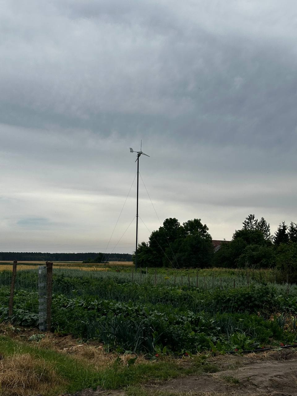 Niewielka turbina wiatrowa na polu uprawnym pod pochmurnym niebem. Widoczne drzewa i dalsze pola w tle. Ujęcie z dołu.