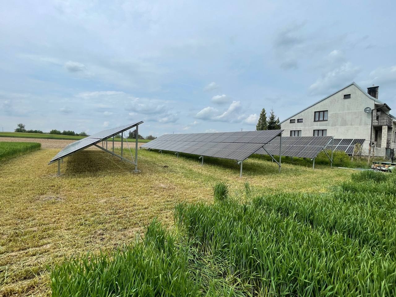 Instalacja fotowoltaiczna na polu z domem w tle. Panele ustawione w rzędach, widoczne trawy i zboża. Pochmurne niebo, lekko zielona trawa.