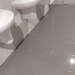 Sprzątanie biur Bolechowo-Osiedle 2