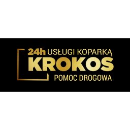 KROKOS Mateusz Krokos - Roboty Ziemne Złotów