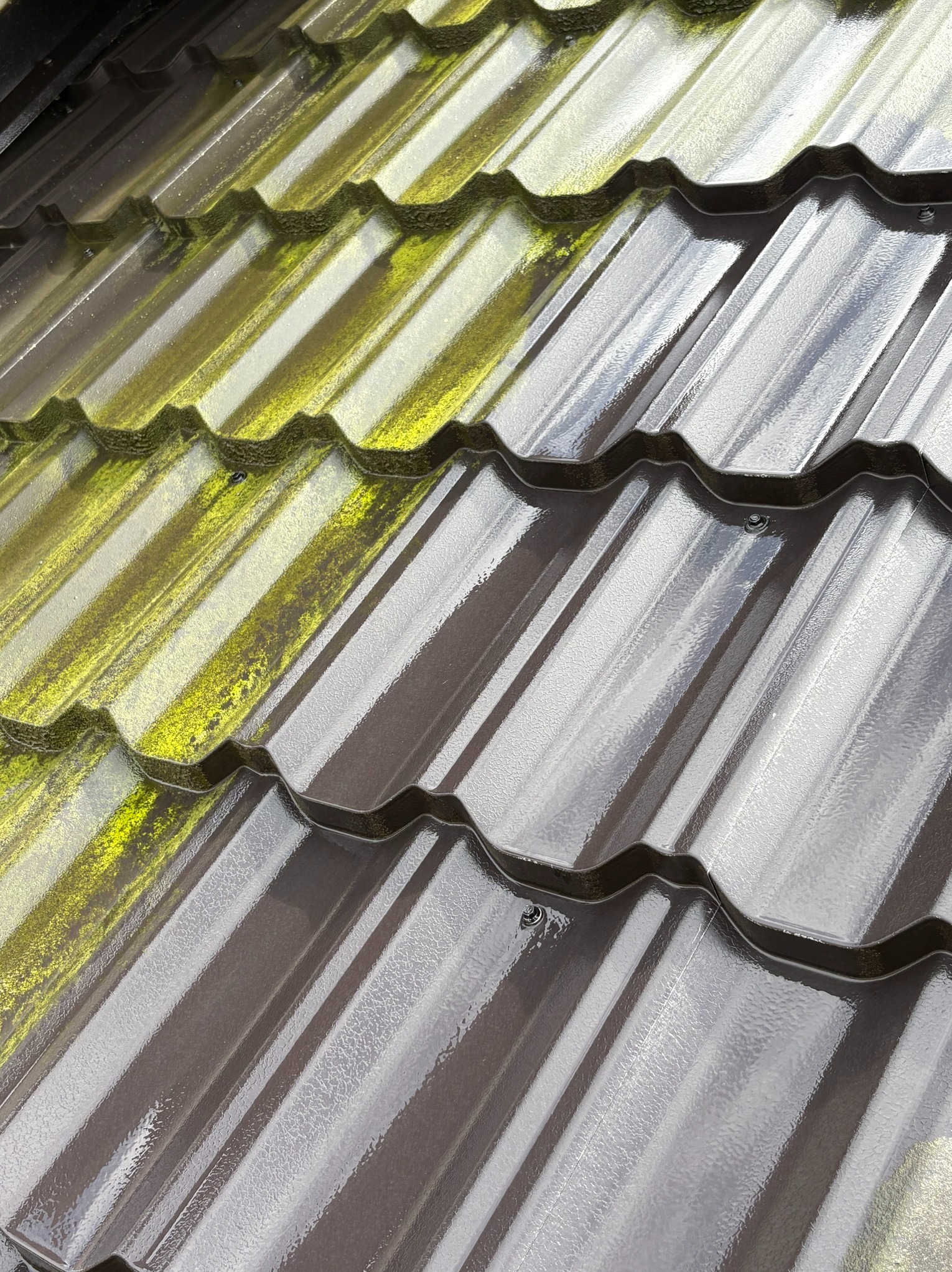 Częściowo wyczyszczona, brązowa dachówka modułowa z widocznym mchem. Porównanie stanu przed i po czyszczeniu, widoczne krople wody.