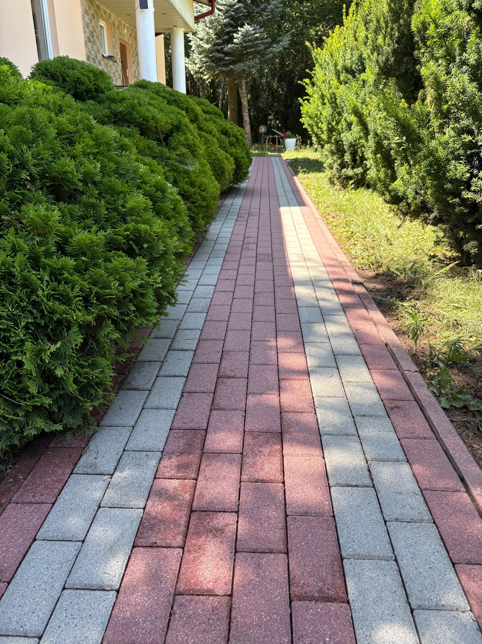 Czerwono-szara kostka brukowa tworzy ścieżkę w ogrodzie, otoczoną zielenią krzewów i drzew. Delikatne cienie drzew padają na nawierzchnię.