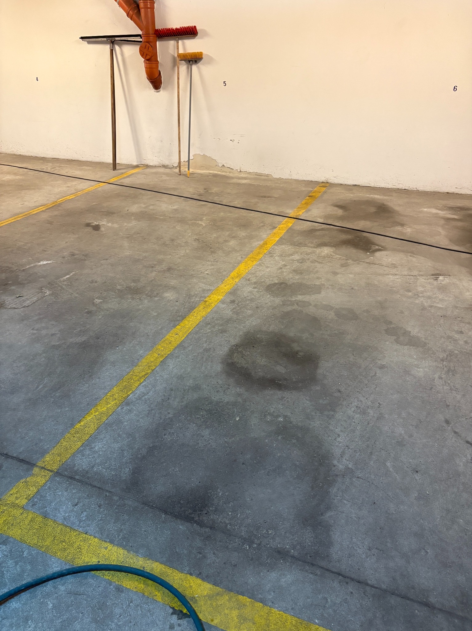 Szary beton posadzki z żółtymi liniami, widoczne ślady zabrudzeń, rury i szczotki opierające się o ścianę, fragment węża na dole kadru. Hala przemysłowa.