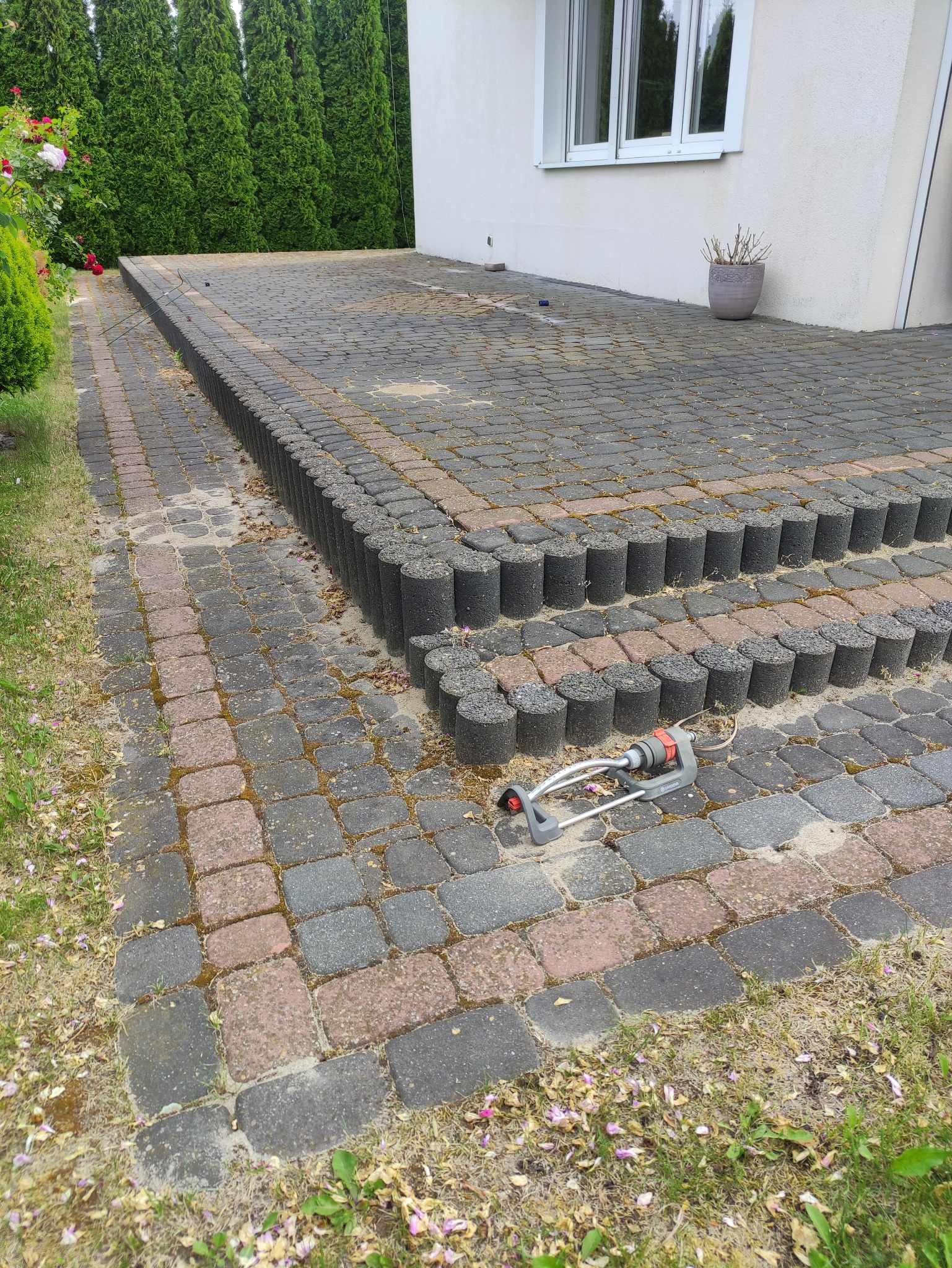 Brudna kostka brukowa na posesji przed domem. Widoczny spryskiwacz do podlewania, mech i liście na kostce. W tle iglaki i fragment elewacji budynku.