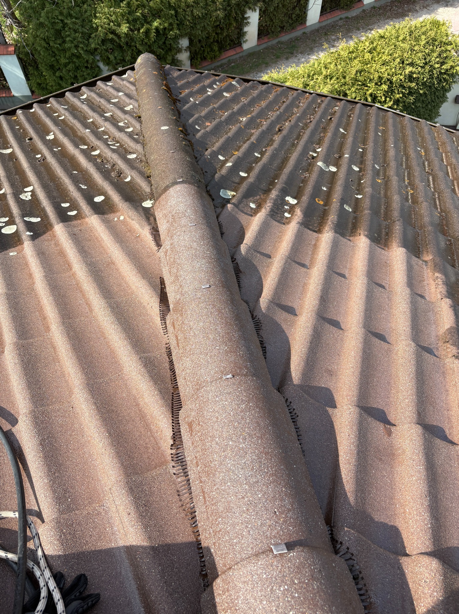 Ciemnobrązowy dach z falistej blachy z mchem i liśćmi, widok z góry, w tle zielone drzewa, zabezpieczenia alpinistyczne.