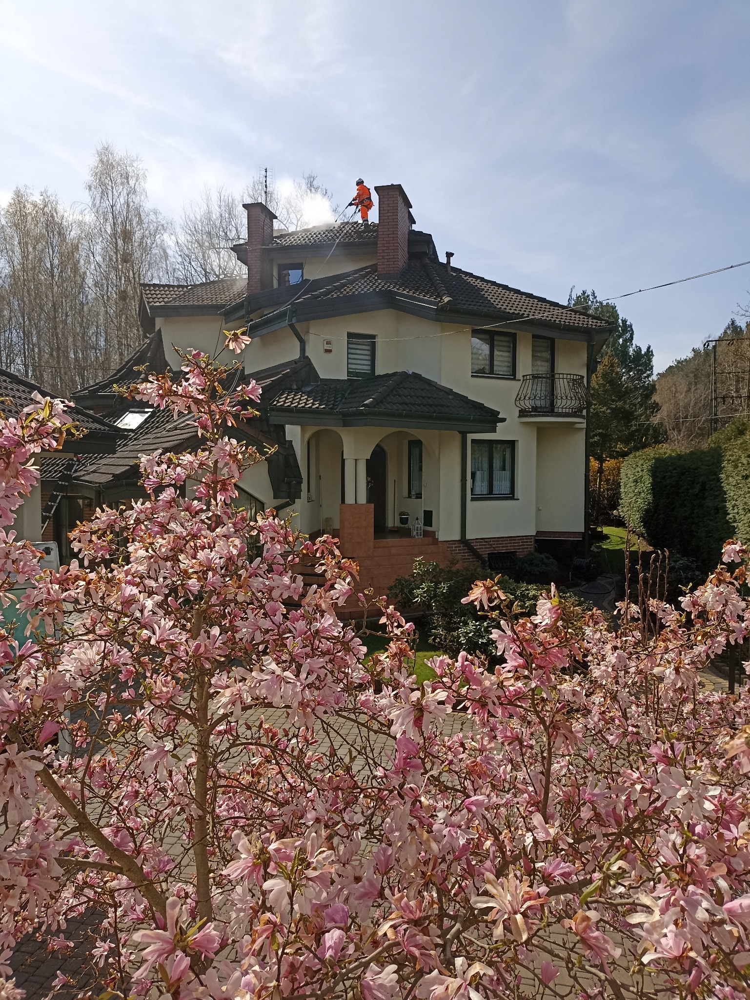 Pracownik w pomarańczowym kombinezonie czyści dach domu myjką ciśnieniową, na pierwszym planie kwitnąca magnolia.