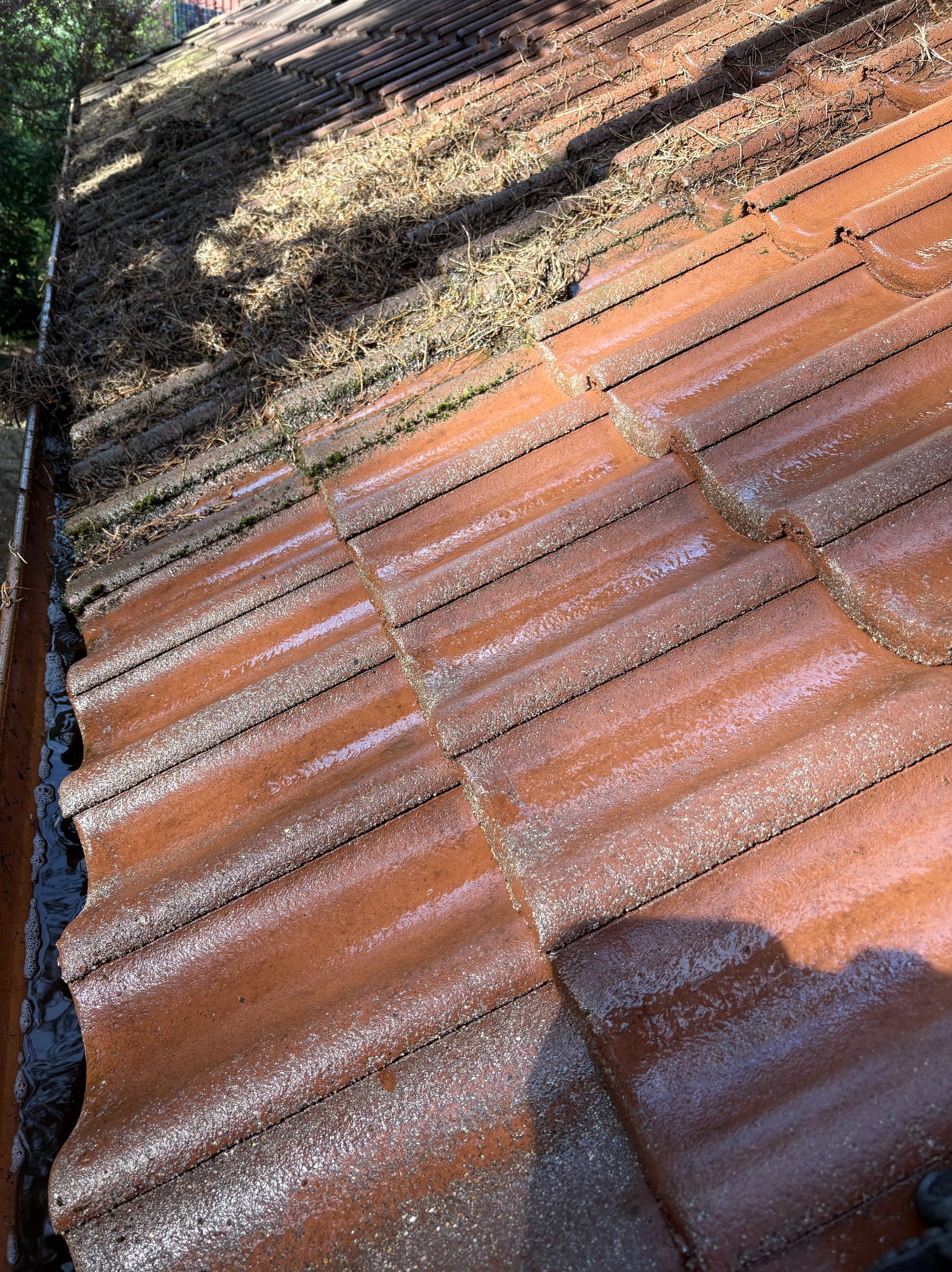 Częściowo wyczyszczony, mokry dach z czerwonej dachówki ceramicznej, z widocznymi zanieczyszczeniami i mchem, oraz brudną rynną po lewej stronie kadru.