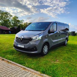 TuttiCars Paweł Juchniewicz - Szary Renault Trafic na zielonej trawie, błękitne niebo z chmurami w tle. Tablica rejestracyjna 'G1 TUTTI'.