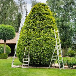 Pielęgnacja ogrodów Gniezno 2