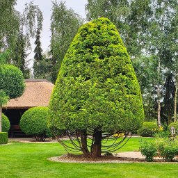 Pielęgnacja ogrodów Gniezno 3