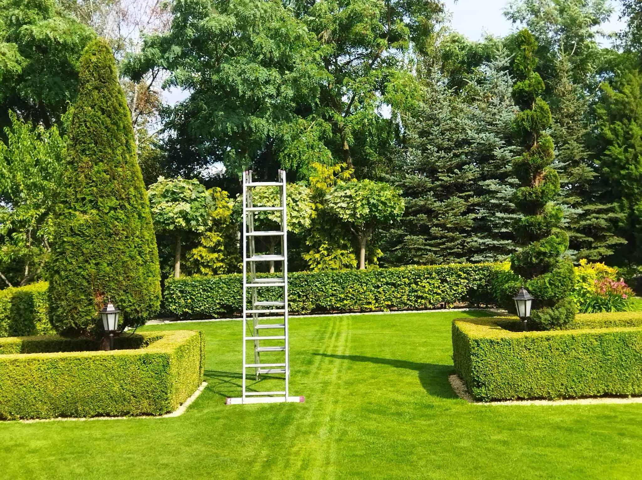 Starannie utrzymany ogród z równo przystrzyżonym trawnikiem, formowanymi krzewami i drzewami. W tle widoczna drabina oparta o żywopłot. Dekoracyjne lampy.