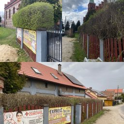 Wycinka drzew Cierpice 4