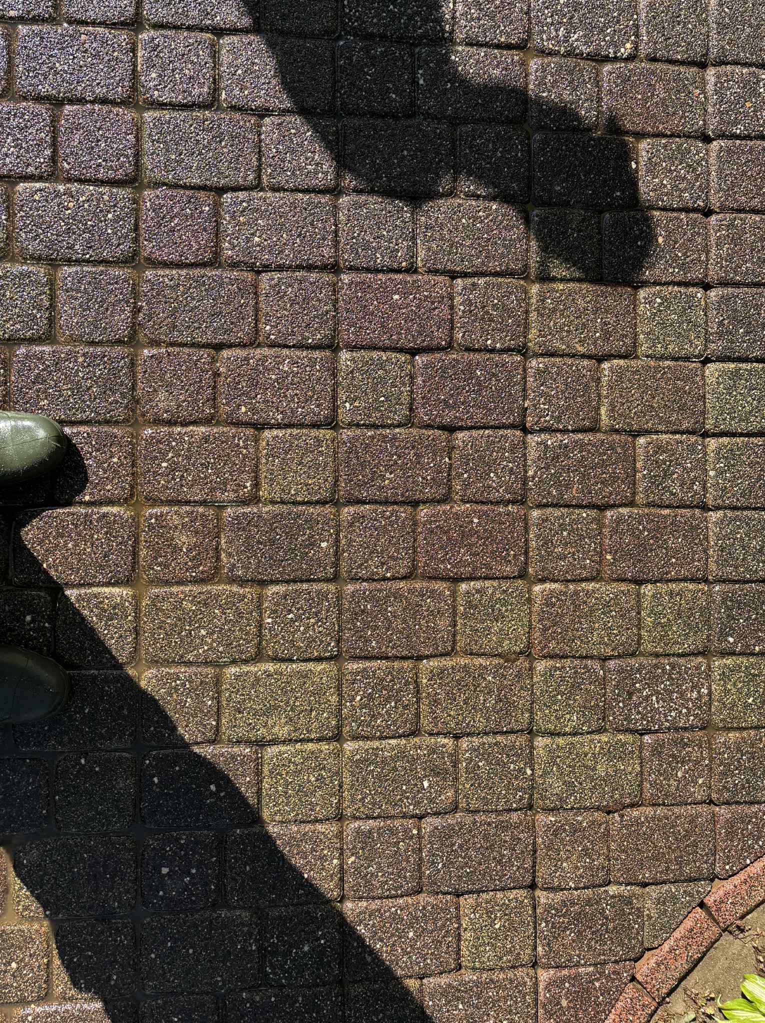 Mokra kostka brukowa w odcieniach brązu i zieleni, częściowo zacieniona, z fragmentem buta w lewym górnym rogu. Widok z góry, podkreślający teksturę i wzór ułożenia.