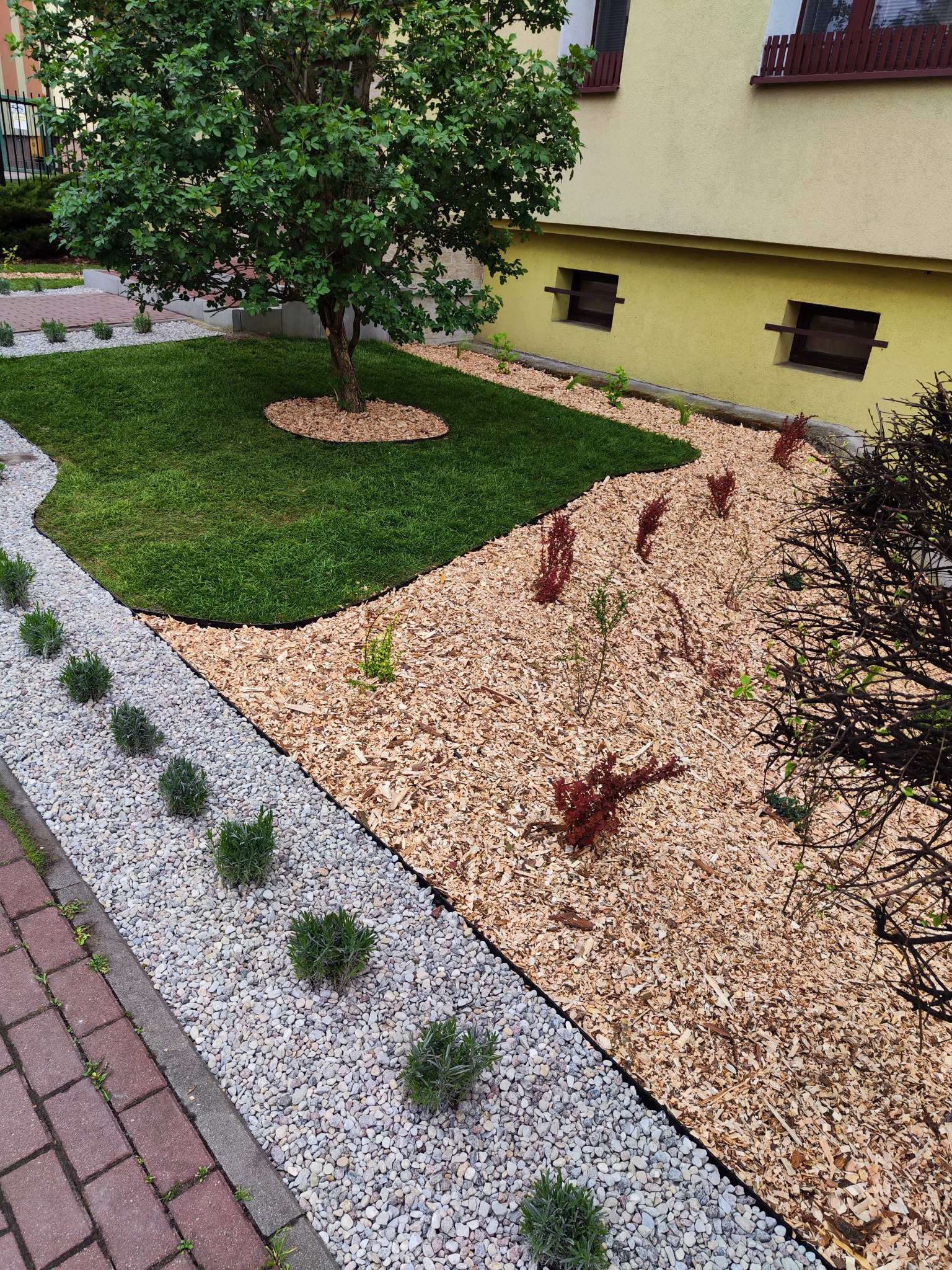 Estetycznie zagospodarowany teren zielony z trawnikiem, korą, kamykami i nasadzeniami. Widoczne estetyczne obrzeża i fragment budynku.
