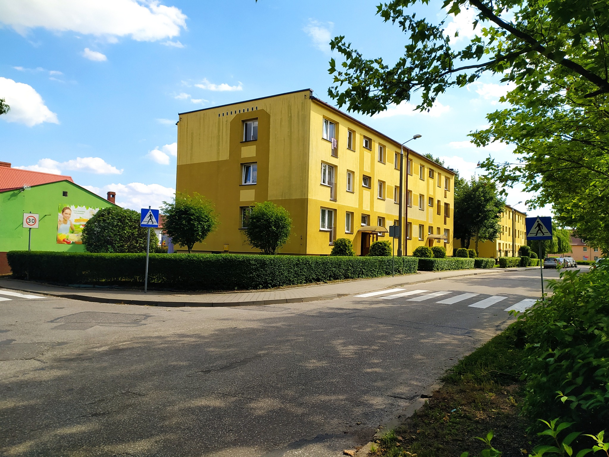 Przycinanie ligustru.