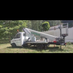 Wycinka drzew Radom 4