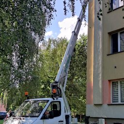 Wycinka drzew Radom 2