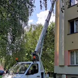 Praca wysokościowa: podnośnik koszowy Mercedes Sprinter z wysięgnikiem przy budynku, osoba w koszu przycina gałęzie drzewa. Dzień słoneczny, widok na zielone drzewa.