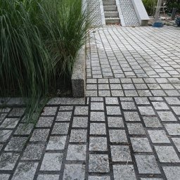 Dominik Domański - Drenaż Żarów