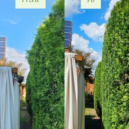 Eko Forma - Zdjęcie 'przed i po' formowania żywopłotu z tui, z widoczną ścieżką i elementami architektury ogrodowej, w słoneczny dzień.