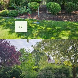 Eko Forma - Zdjęcie 'przed i po' prezentujące różnicę w wyglądzie ogrodu po wykonaniu prac pielęgnacyjnych; widoczne krzewy, drzewa i trawnik.