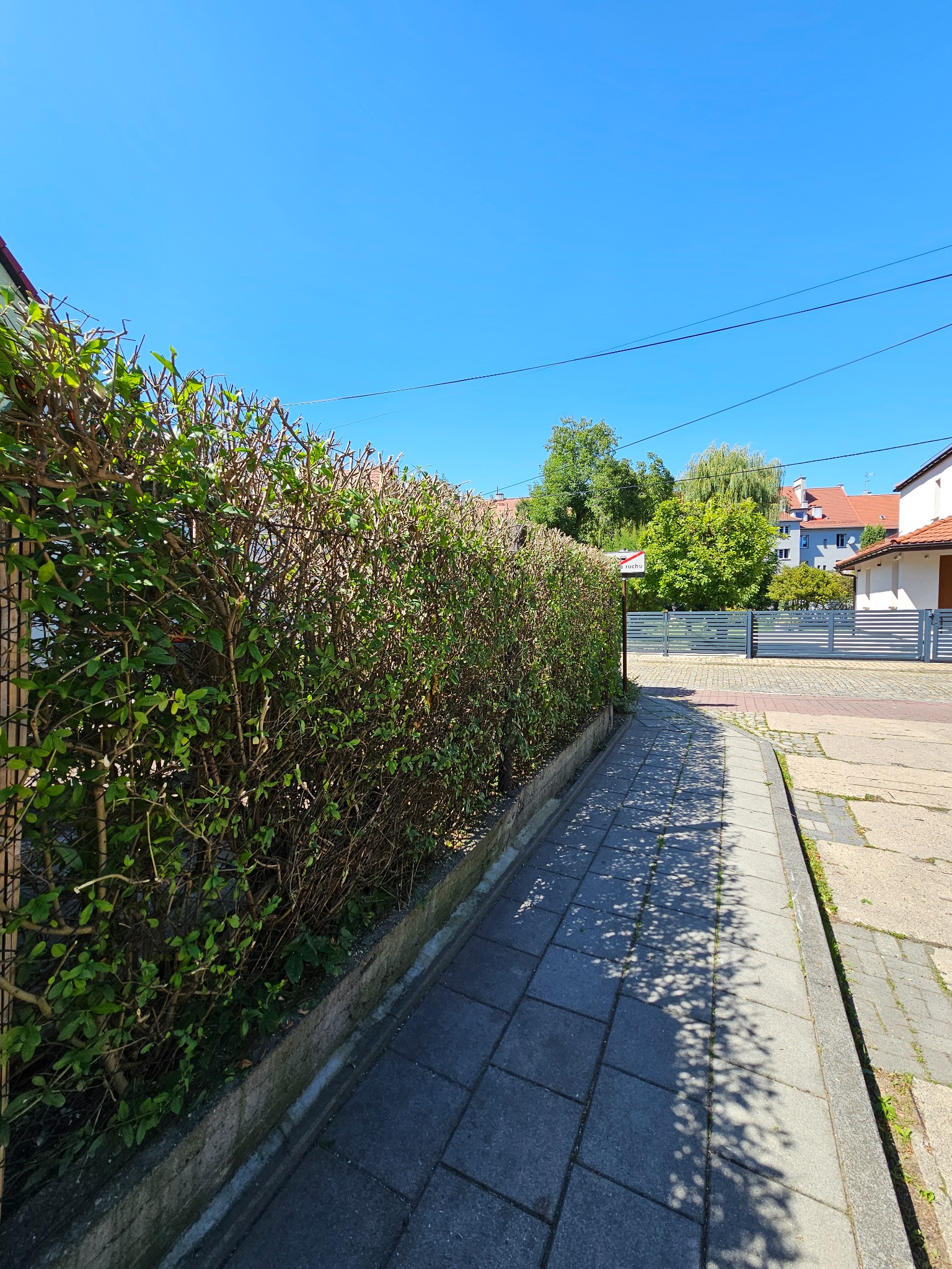 Gęsty żywopłot z widocznymi suchymi gałązkami oddziela chodnik od ulicy w słoneczny dzień. W tle domy i błękitne niebo.