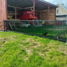 Nowoczesne, czarne ogrodzenie panelowe na trawniku, z widocznym budynkiem gospodarczym i dwoma psami za nim. Ujęcie z poziomu trawy.