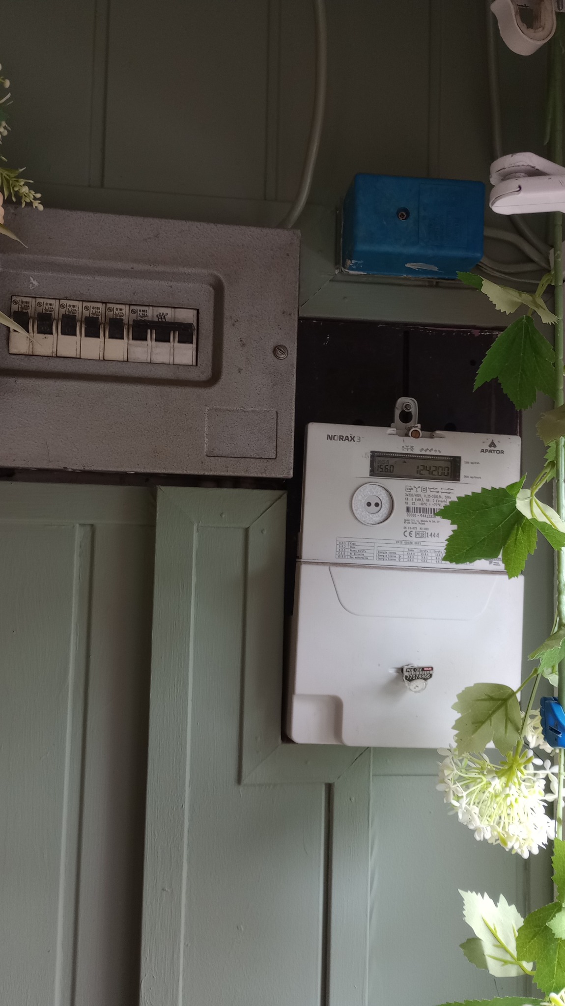 Szara skrzynka bezpiecznikowa, licznik energii elektrycznej Apator Norax 3 i niebieska puszka instalacyjna na zielonej, drewnianej ścianie, ozdobionej sztucznymi kwiatami.
