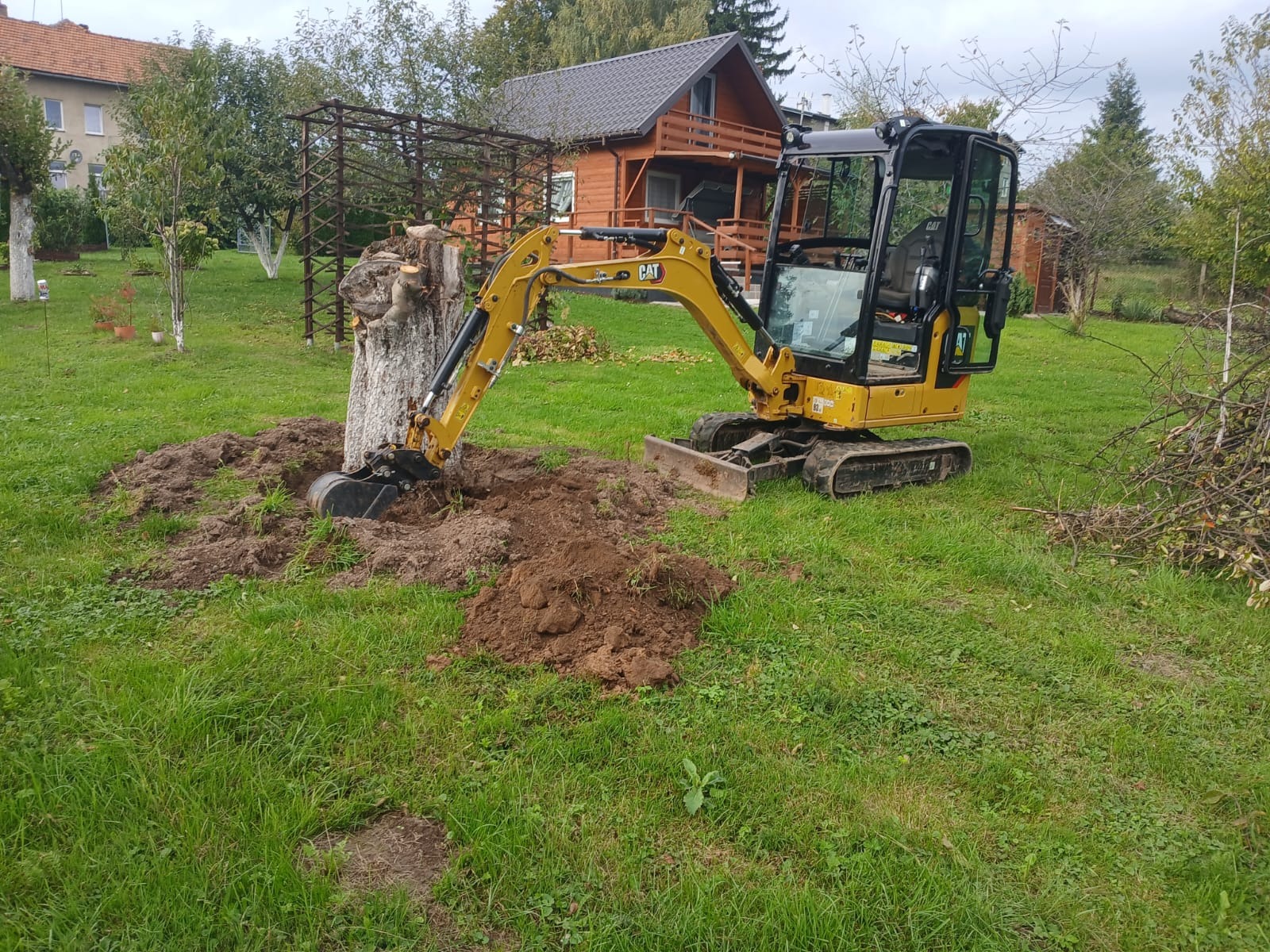 Żółta mini koparka CAT podczas wykopu wokół pnia drzewa na trawniku. W tle dom z drewnianą elewacją i zielone drzewa. Prace ziemne w ogrodzie.