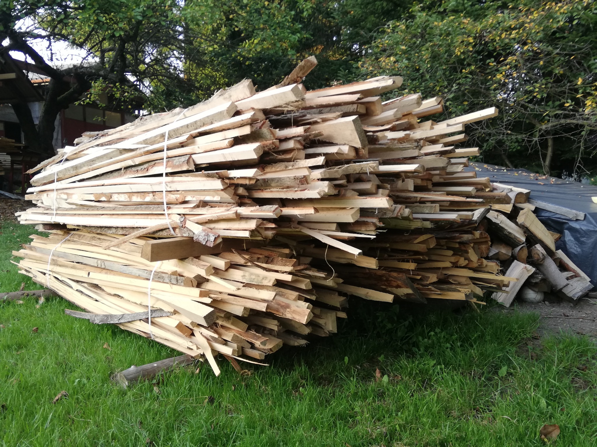 Stos tarcicy budowlanej związany sznurkiem, ułożony na trawie. W tle drzewa i budynek. Deski o nieregularnych kształtach, jasne drewno, widoczne sęki.