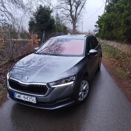 Detailing84 - Szary samochód Skoda Octavia Combi na mokrej drodze, z widoczną tablicą rejestracyjną i odbiciem drzew w szybie. Tło stanowią drzewa i krzewy.