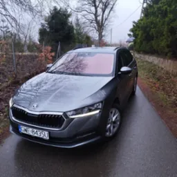 Szary samochód Skoda Octavia Combi na mokrej drodze, z widoczną tablicą rejestracyjną i odbiciem drzew w szybie. Tło stanowią drzewa i krzewy.