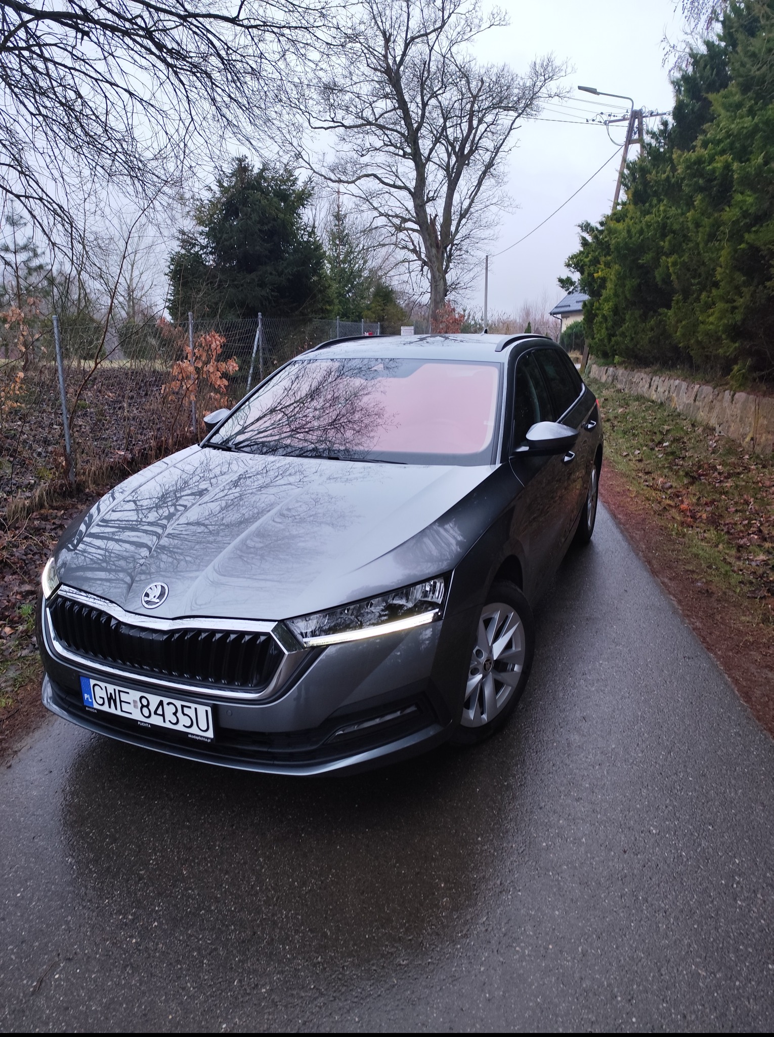 Szary samochód Skoda Octavia Combi na mokrej drodze, z widoczną tablicą rejestracyjną i odbiciem drzew w szybie. Tło stanowią drzewa i krzewy.