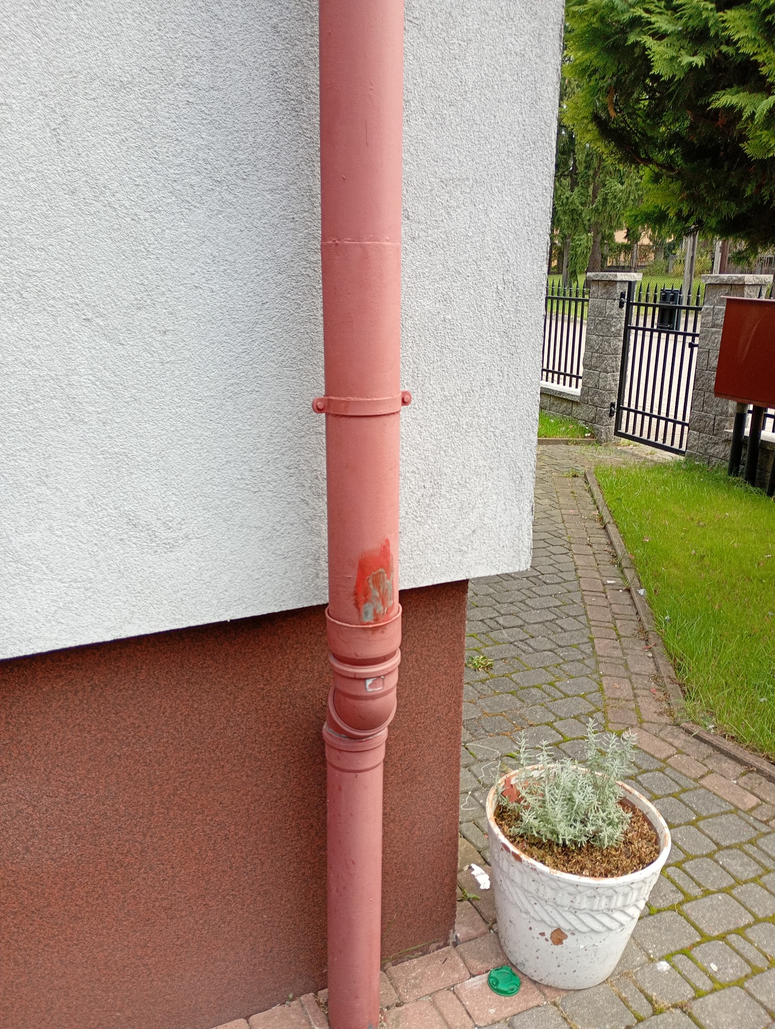 Czerwona rynna spustowa z odpryskami farby, przymocowana do ściany budynku z fakturą. Obok doniczka z rośliną na kostce brukowej. W tle trawnik i ogrodzenie.