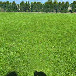 Zakładanie ogrodów Murowana Goślina 2