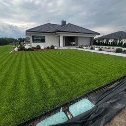 Łukasz Witak - Perfekcyjnie skoszony trawnik z pasami, ozdobne kule i krzewy wzdłuż ścieżki prowadzącej do nowoczesnego domu. Widoczne studzienki i krawężnik trawnikowy.