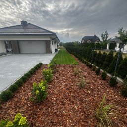 Łukasz Witak - Nowoczesny ogród z równo przystrzyżonym trawnikiem, rabatami wysypanymi korą i niskimi krzewami wzdłuż ogrodzenia. Dom z szarą kostką brukową na podjeździe.