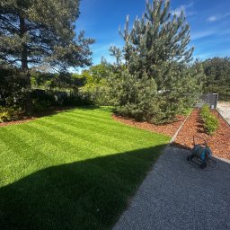 Łukasz Witak - Idealnie skoszony trawnik z wzorem w paski, obrzeża z kory, świerki i zwijak do węża ogrodowego w zadbanym ogrodzie.