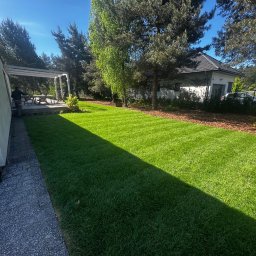 Łukasz Witak - Perfekcyjnie skoszony trawnik z wyraźnymi pasami w przydomowym ogrodzie. Widoczny fragment tarasu, drzewa iglaste i liściaste oraz budynek w tle. Słoneczny dzień.