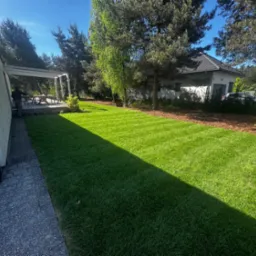 Perfekcyjnie skoszony trawnik z wyraźnymi pasami w przydomowym ogrodzie. Widoczny fragment tarasu, drzewa iglaste i liściaste oraz budynek w tle. Słoneczny dzień.