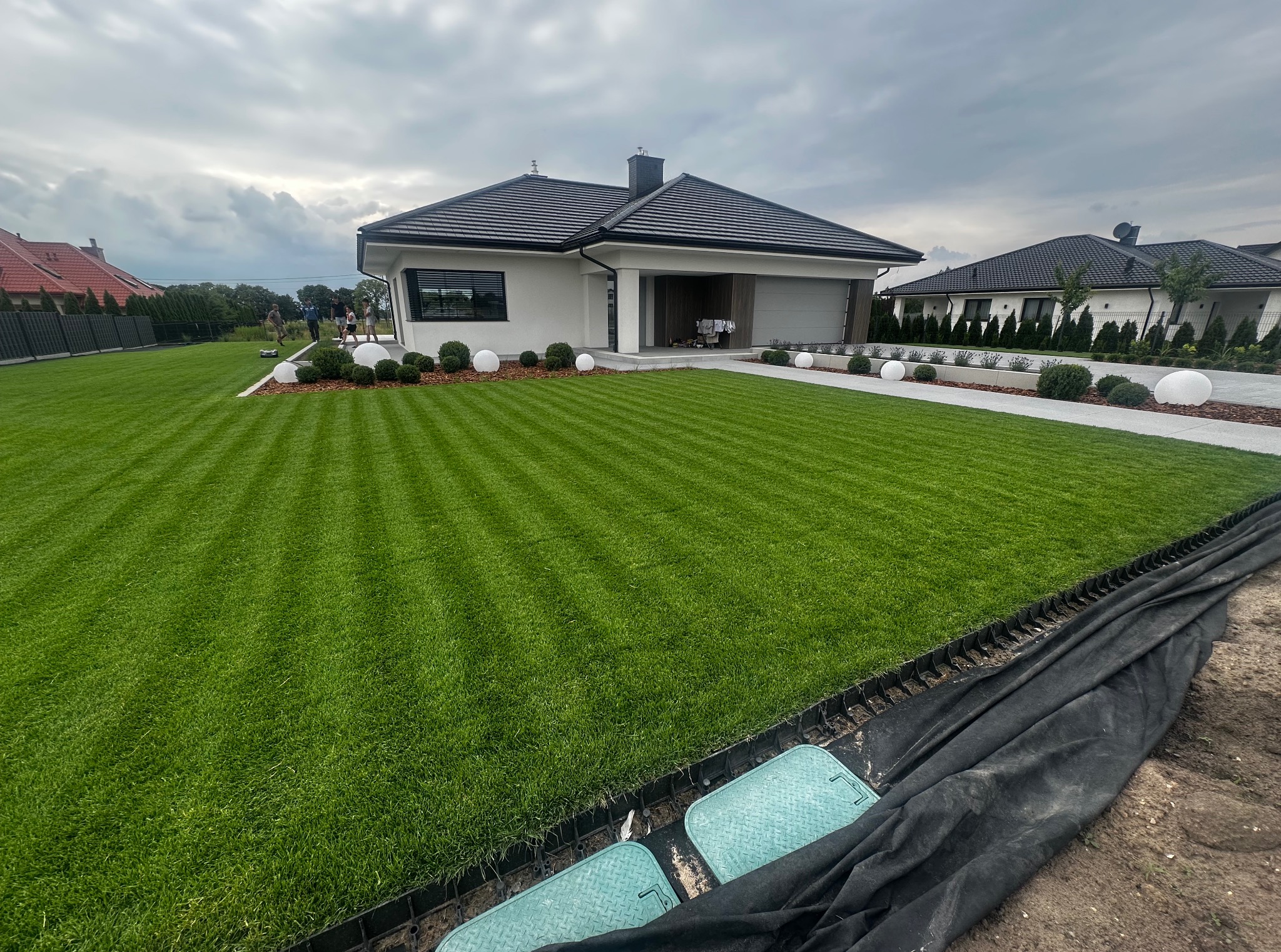 Perfekcyjnie skoszony trawnik z pasami, ozdobne kule i krzewy wzdłuż ścieżki prowadzącej do nowoczesnego domu. Widoczne studzienki i krawężnik trawnikowy.