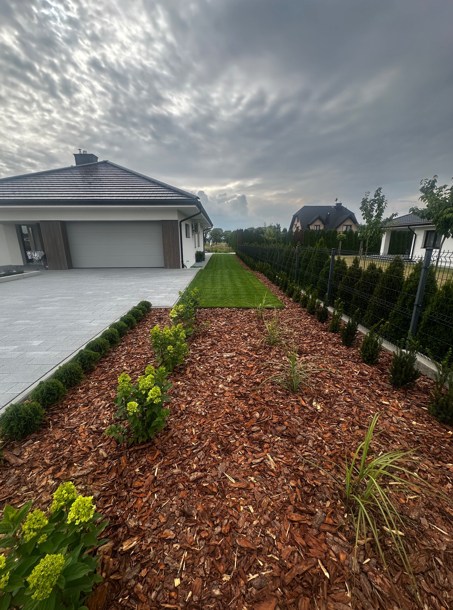 Nowoczesny ogród z równo przystrzyżonym trawnikiem, rabatami wysypanymi korą i niskimi krzewami wzdłuż ogrodzenia. Dom z szarą kostką brukową na podjeździe.