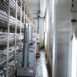 LEDkomplex - lampy odporne na parowanie i uderzenia