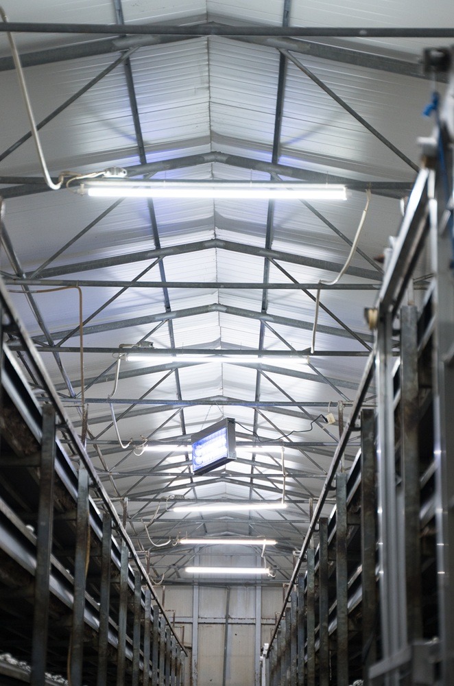 LEDkomplex - lampy do pieczarkarni