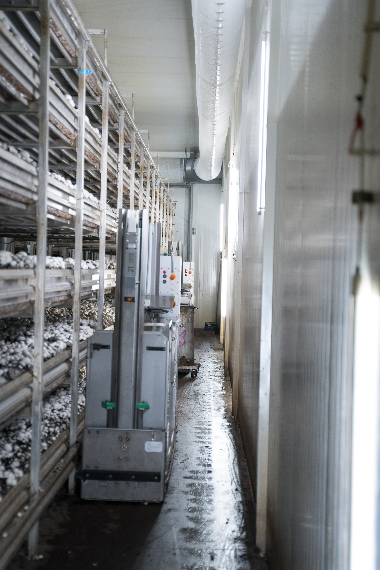 LEDkomplex - lampy odporne na parowanie i uderzenia