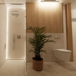 Projekt łazienki, prysznic z LED