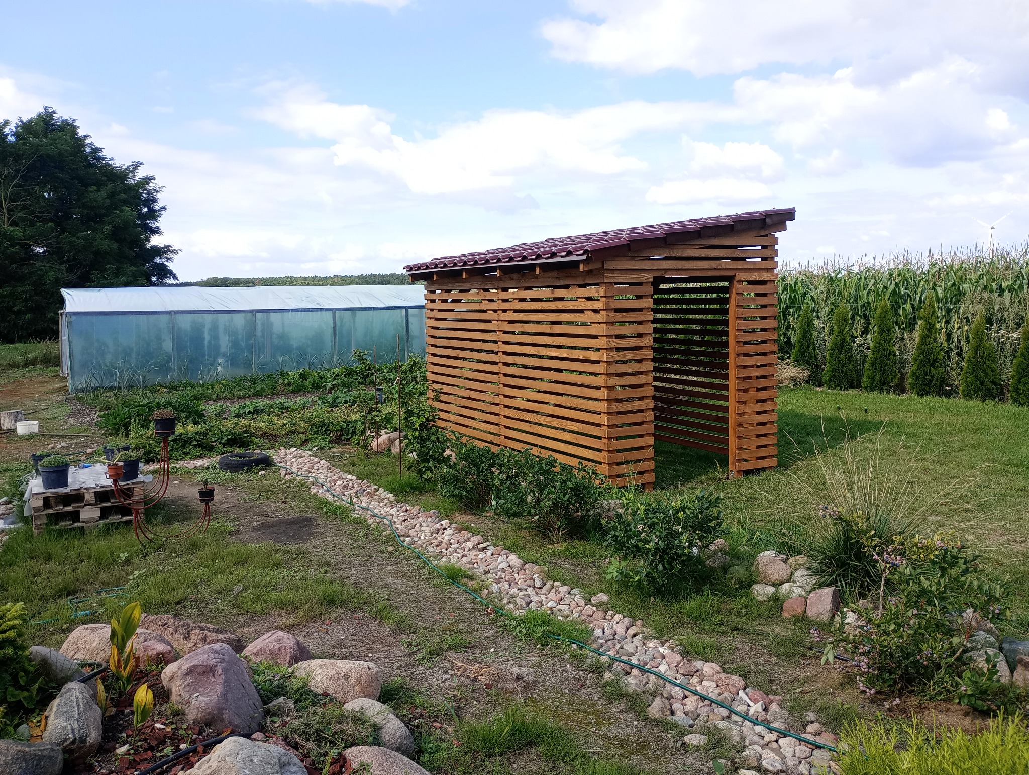 Drewniana konstrukcja z brązowym dachem na działce, widok z boku. W tle szklarnia i pole kukurydzy. Elementy ogrodu: kamienie, rośliny, palety z doniczkami.
