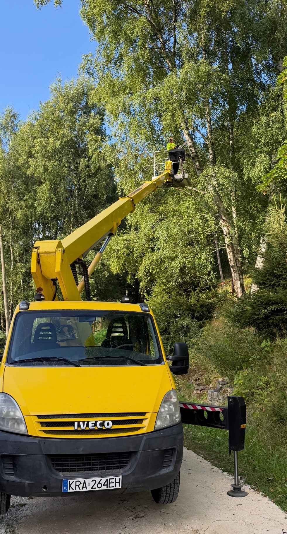 Żółty podnośnik koszowy Iveco z pracownikiem w koszu, na tle drzew. Akcja w toku, widoczne drzewa i niebieskie niebo w tle. Tablica rejestracyjna KRA-264EH.