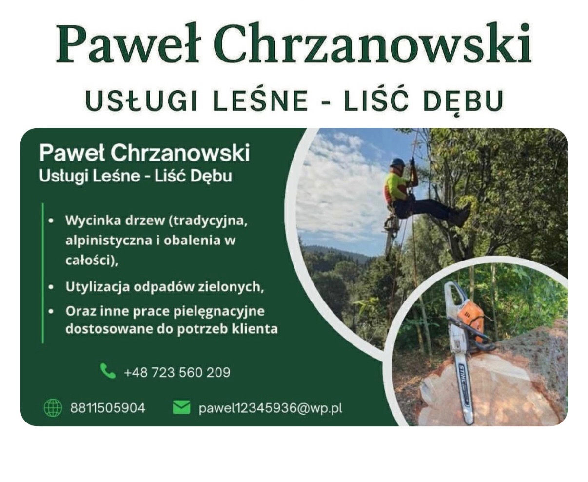 Grafika reklamowa usług leśnych: arborysta w koronie drzewa, piła spalinowa na pniu, dane kontaktowe firmy.